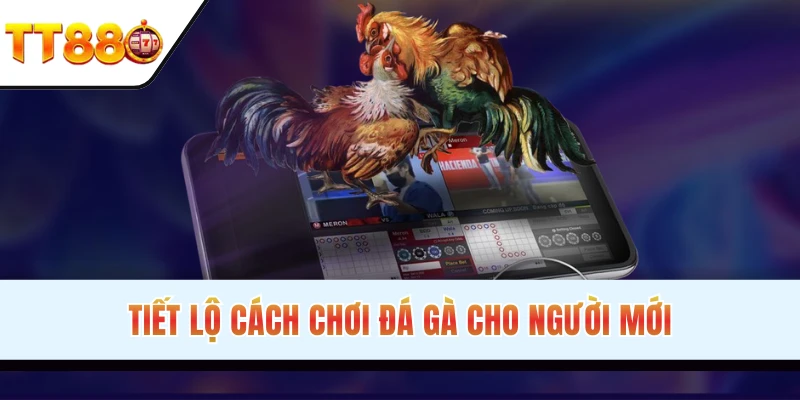 Quy trình đặt cược online đơn giản